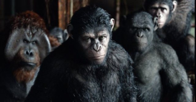 la ca 0403 dawn of planet apes 027