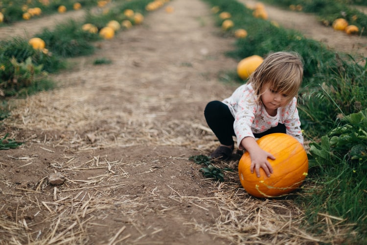 little girl with pumpkin.jpeg