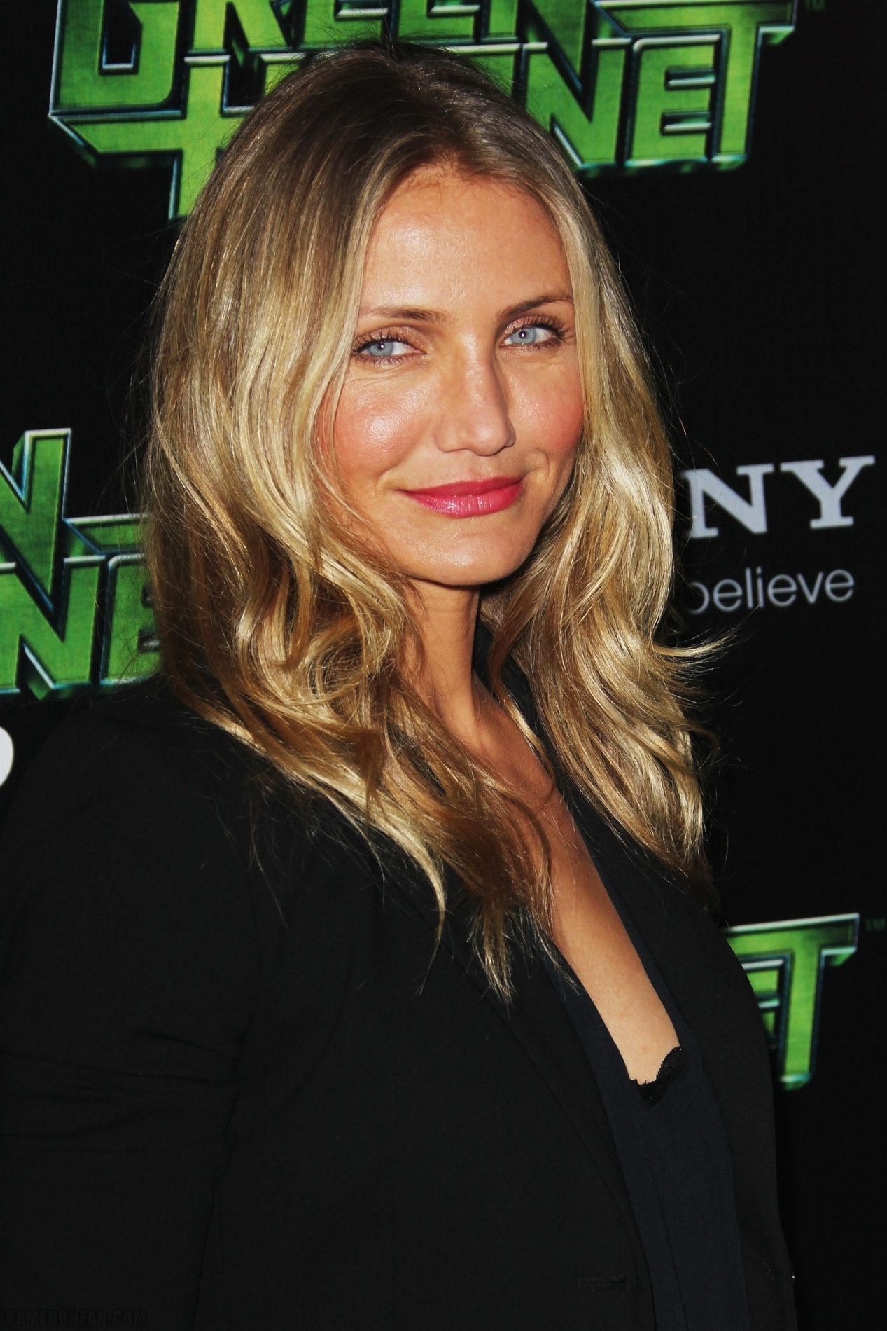 Cameron-The-Green-Hornet-Paris-Photocall-cameron-diaz-17622846-1267-1900