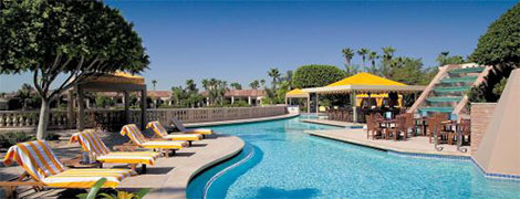 oasis pool at the phoenician