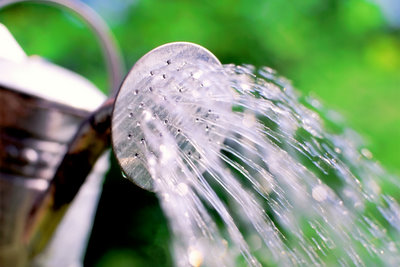 Garden-Watering-Can-wp