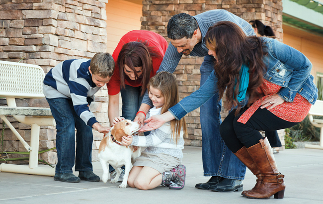 afm0513-arizona-humane-society