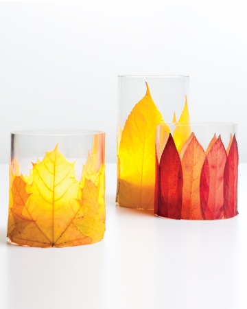 mld105445 1110 votives3 vert