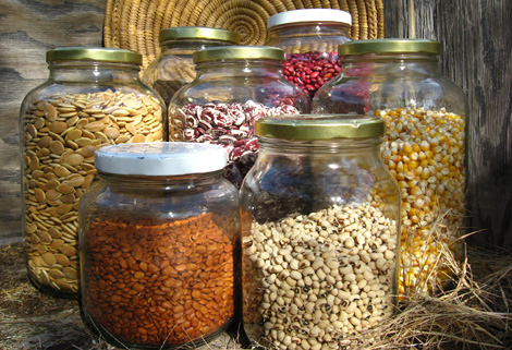 Native Seeds Bank