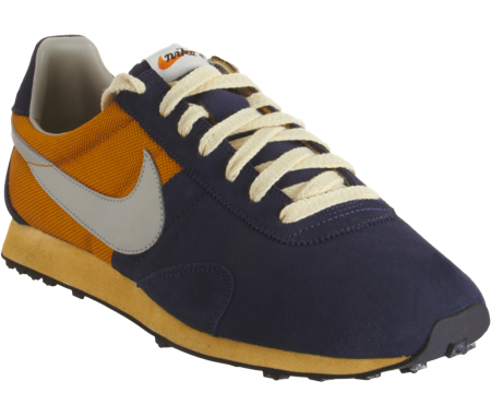 nikeshoe