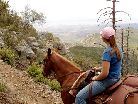 horseback-riding-tucson