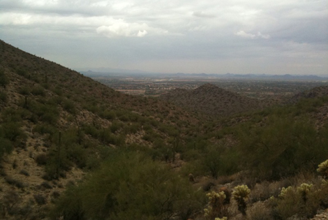 mcdowell sonoran preserve