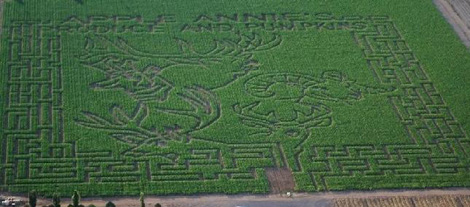 apple-annie-corn-maze