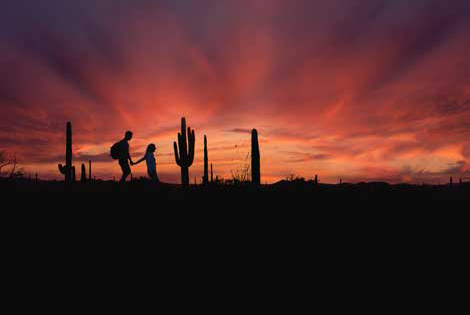 ritz-carlton-dove-mountain