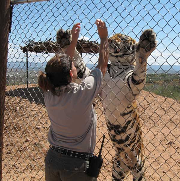 outofafrica12