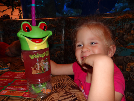 rainforestcafe2