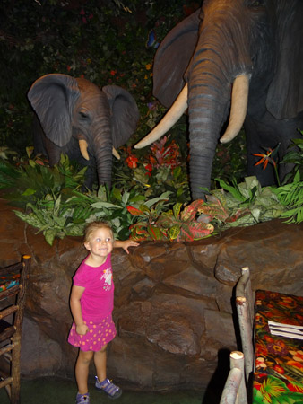 rainforestcafe3