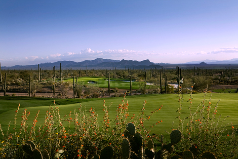 ritz-carlton-tortolita-tucson