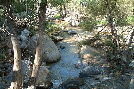 sabino canyon