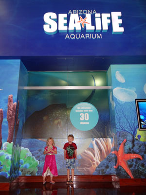 sealifebehindthescenes1