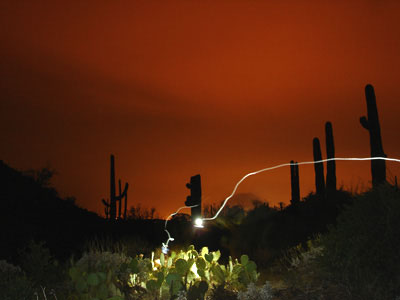 night hikes