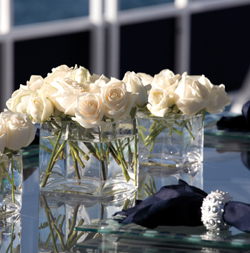 afm1011-behind-the-bash-decor