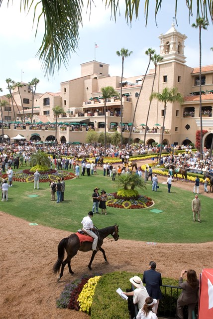 del mar BeautifulPaddock credit Del Mar Association