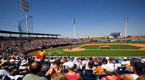 Fans at Cactus League Baseball Spring Training