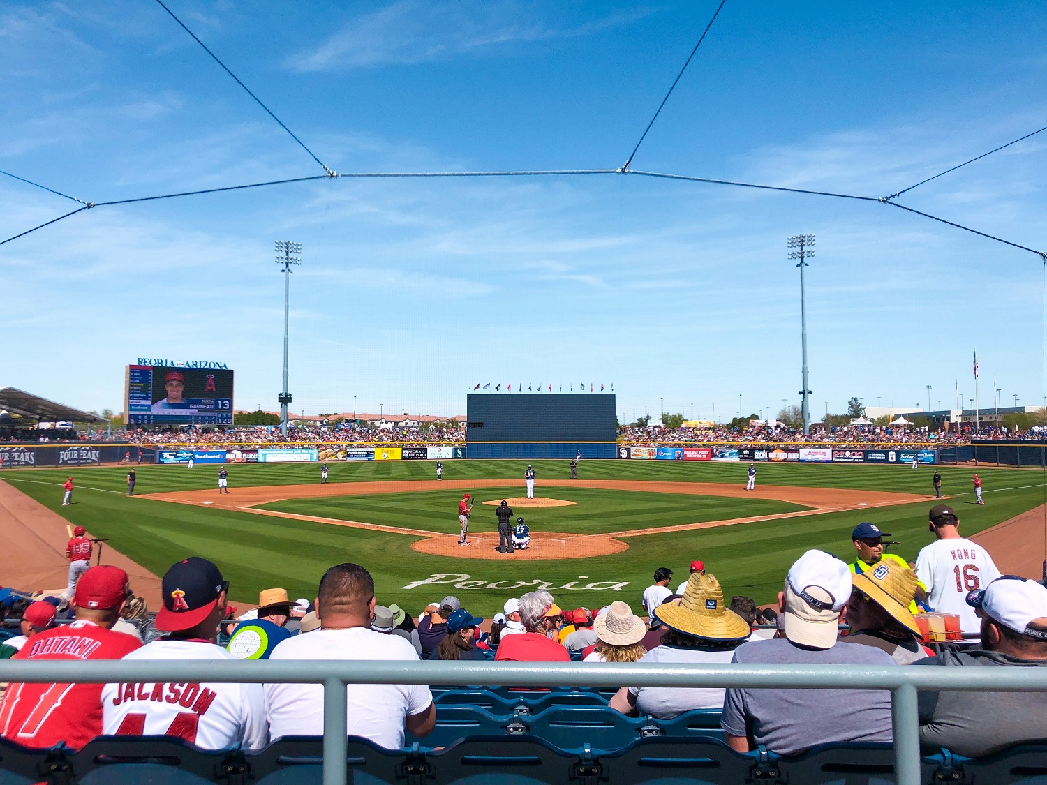 spring-training.jpg