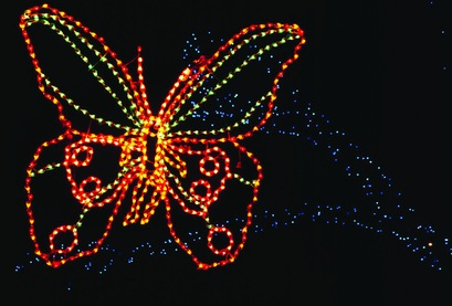 web ZooLights Butterfly