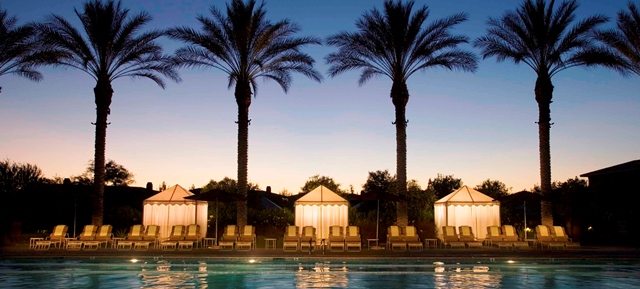 westin_Cabana_Palm_Trees_and_Pool.jpg