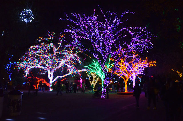 zoolights-08.jpg