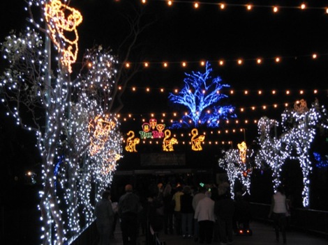 zoo-lights-1-600x450