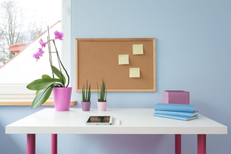 Cork board above desk