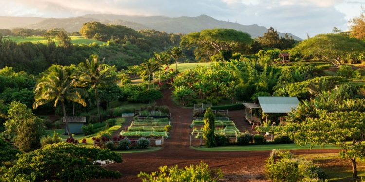 Kukuiula