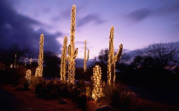 Photo: Ritz-Carlton, Dove Mountain Facebook