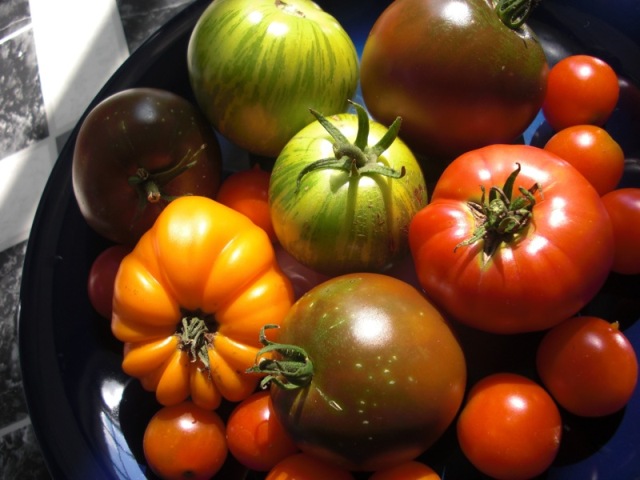 heirloom-tomatoes