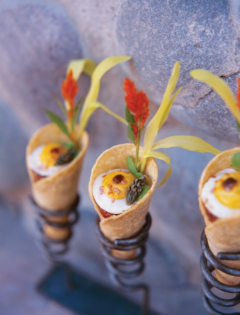 native-american-cuisine-buffalo-tartar