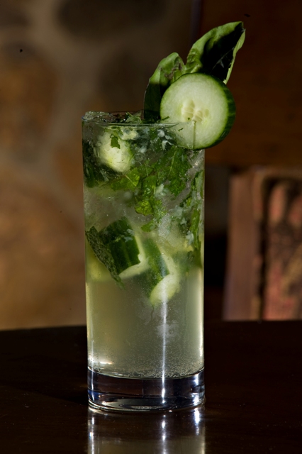 sassi-cucumber-cooler