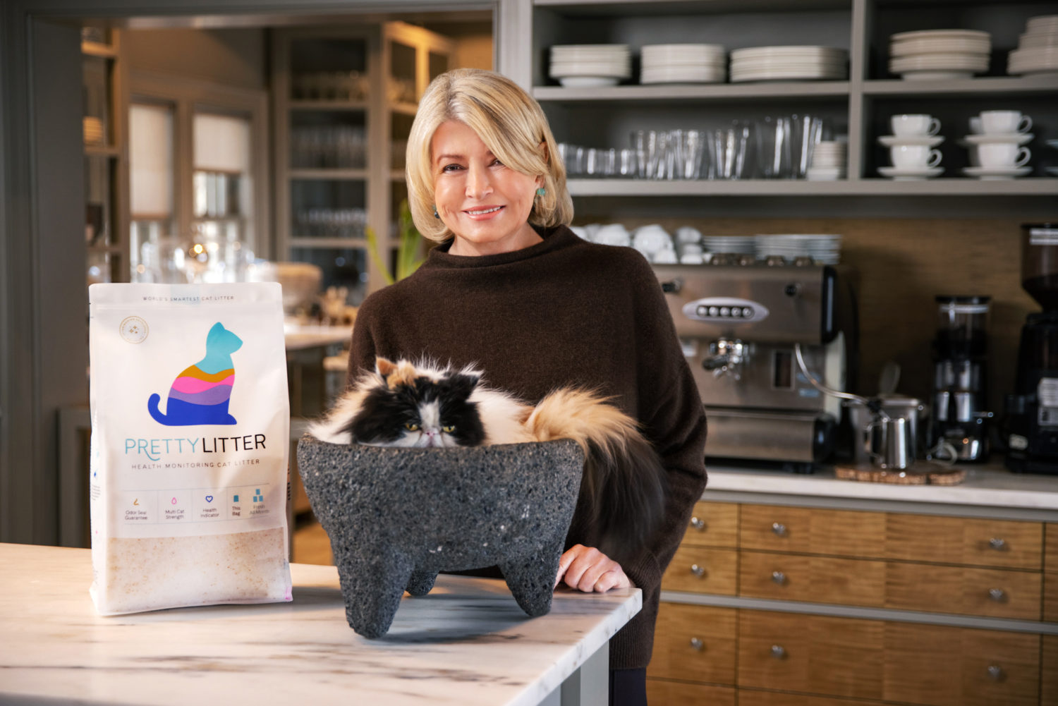 10 Modern Cat Litter Boxes That Hide in Plain Sight Martha Stewart